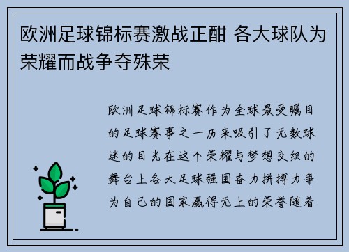 欧洲足球锦标赛激战正酣 各大球队为荣耀而战争夺殊荣