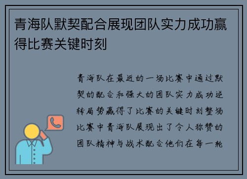 青海队默契配合展现团队实力成功赢得比赛关键时刻