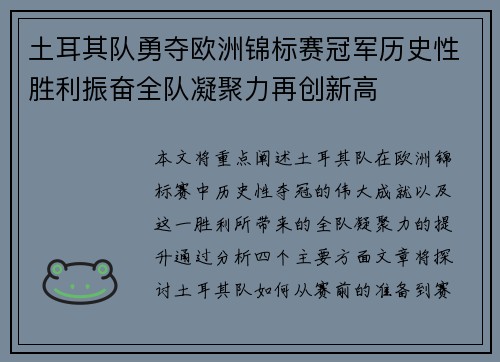 土耳其队勇夺欧洲锦标赛冠军历史性胜利振奋全队凝聚力再创新高